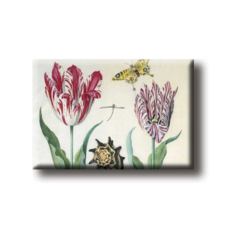 Magnet Tulpen Muscheln und Insekten